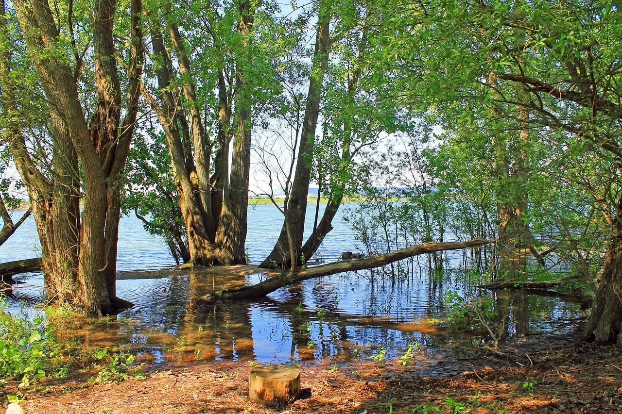 Through the Rhine valley