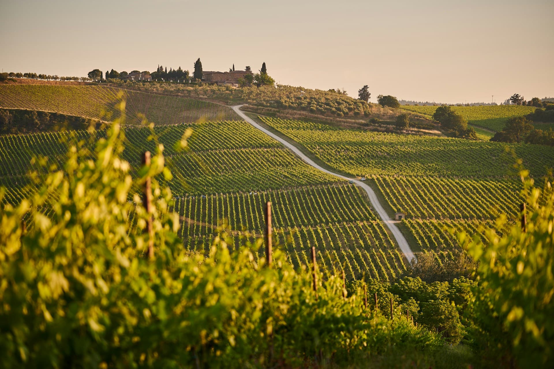 Tuscany Wine Route