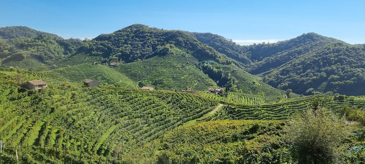 Along the Prosecco Road