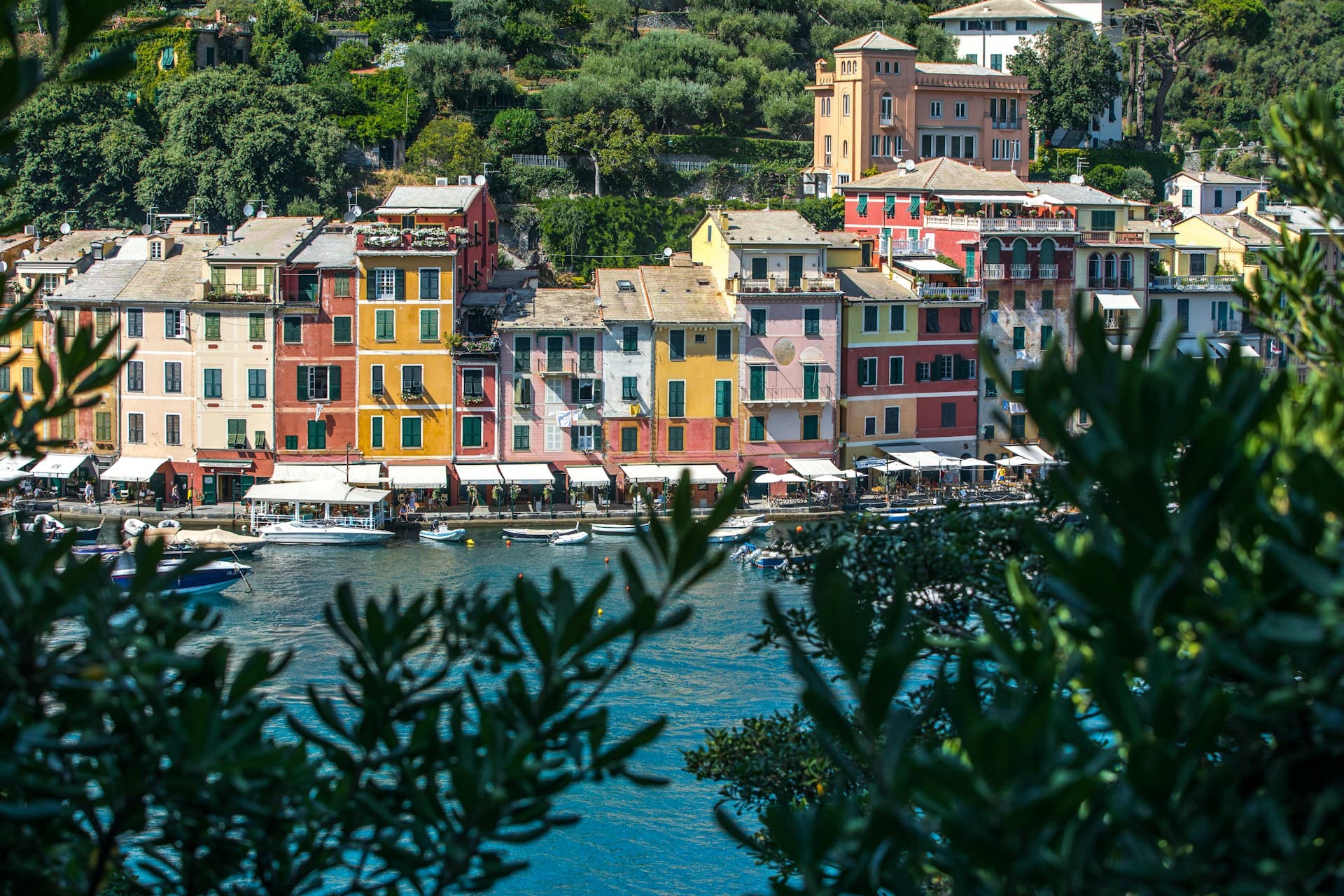 Portofino Harbor