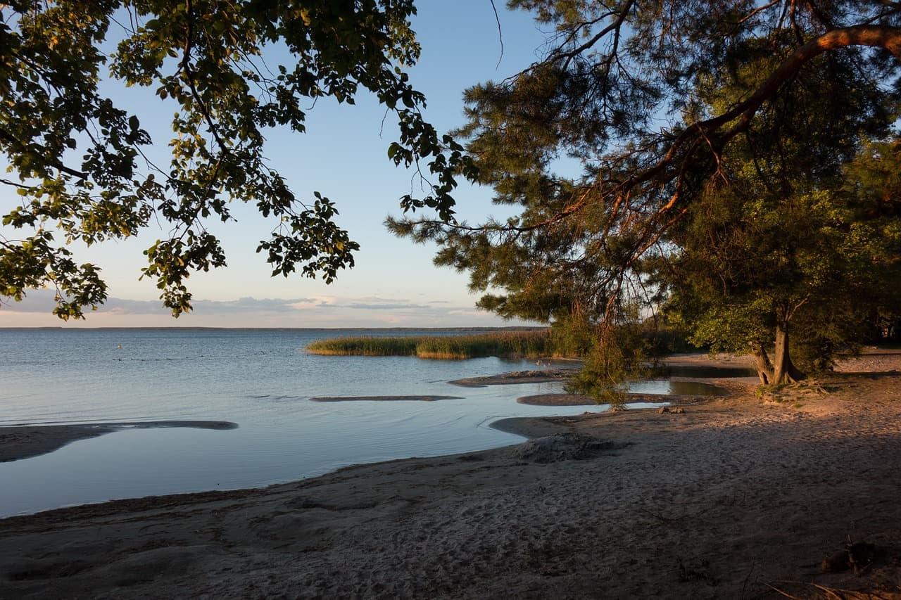 Müritz National Park