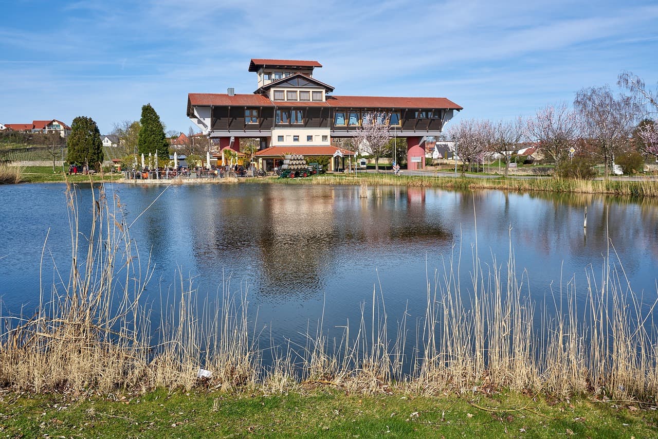 Bockenheim on the Wine Route
