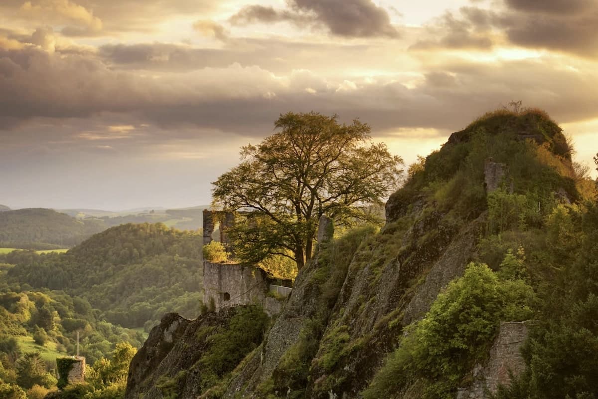 The Palatinate Highlands open