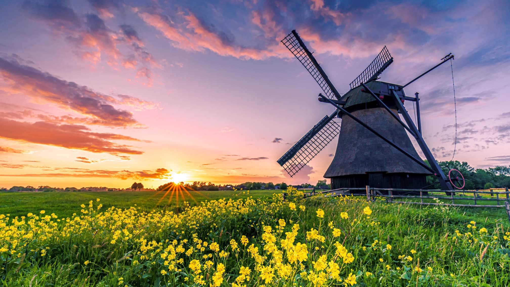 On the Frisian Windmill Road