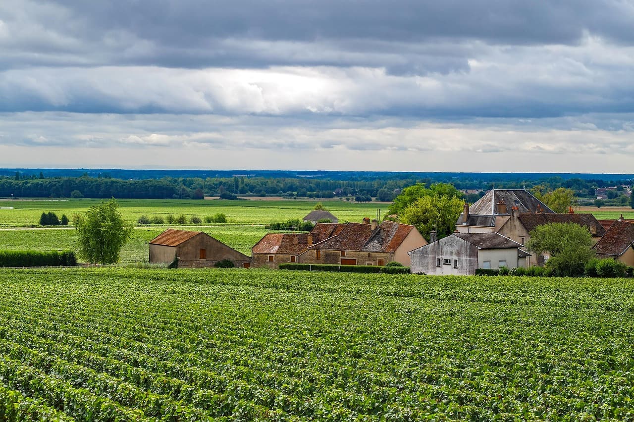 Enjoy the French wine routes openly.