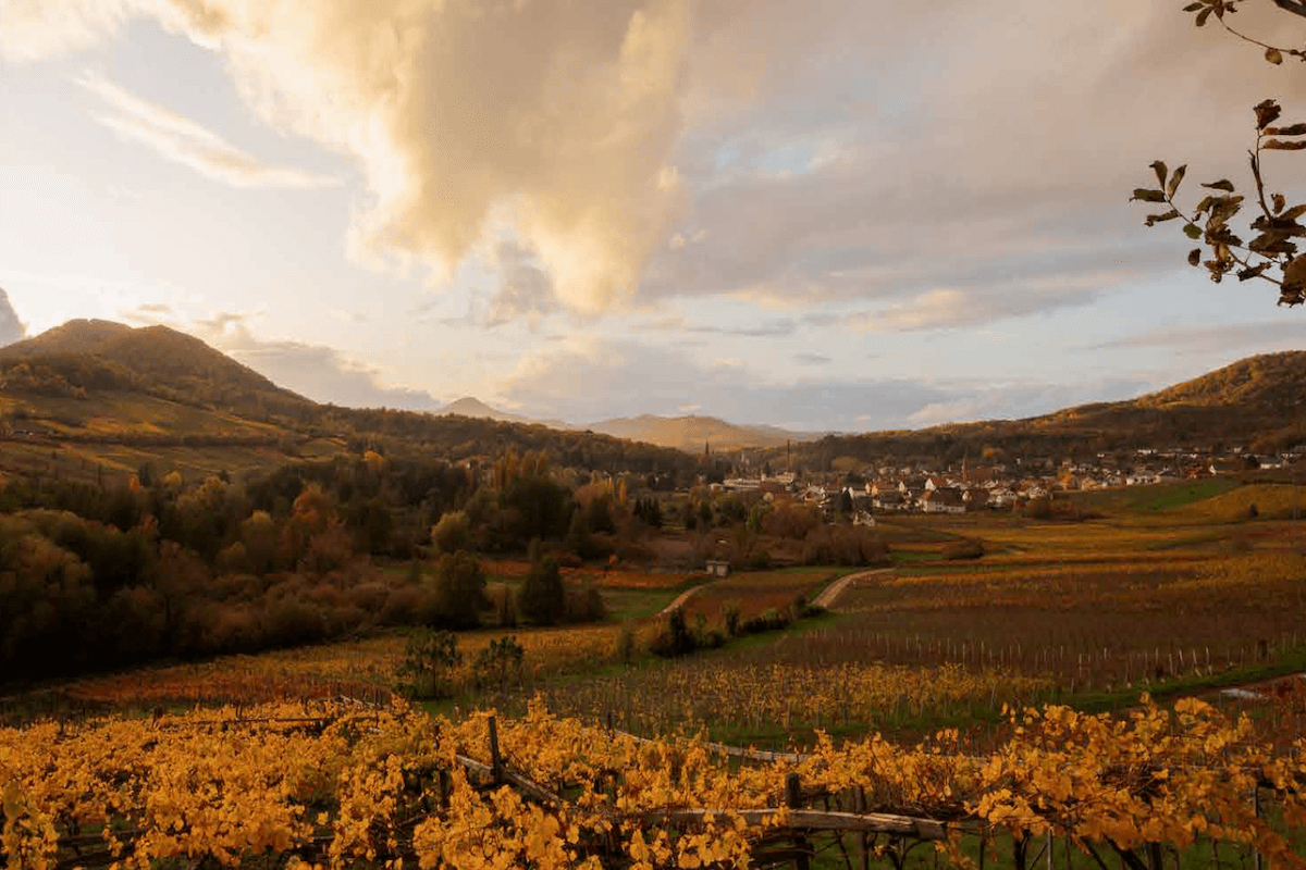 The best convertible tours in Germany