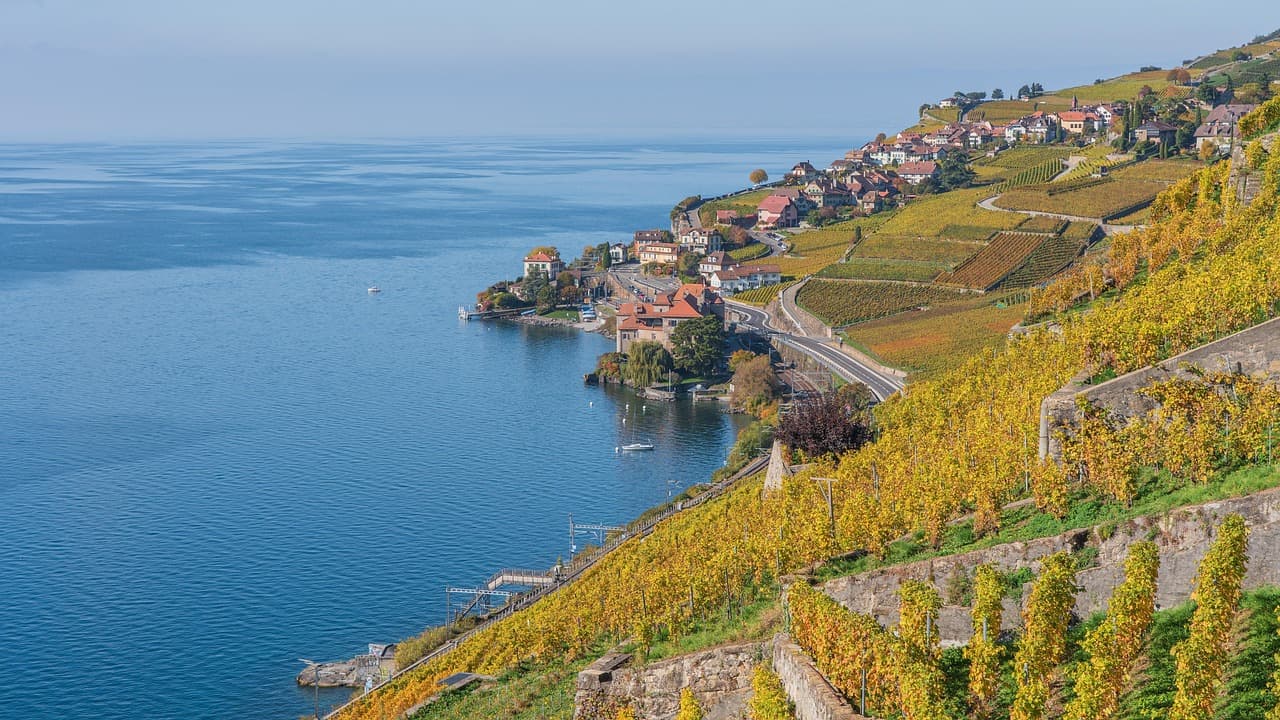 Lavaux Vine Terraces