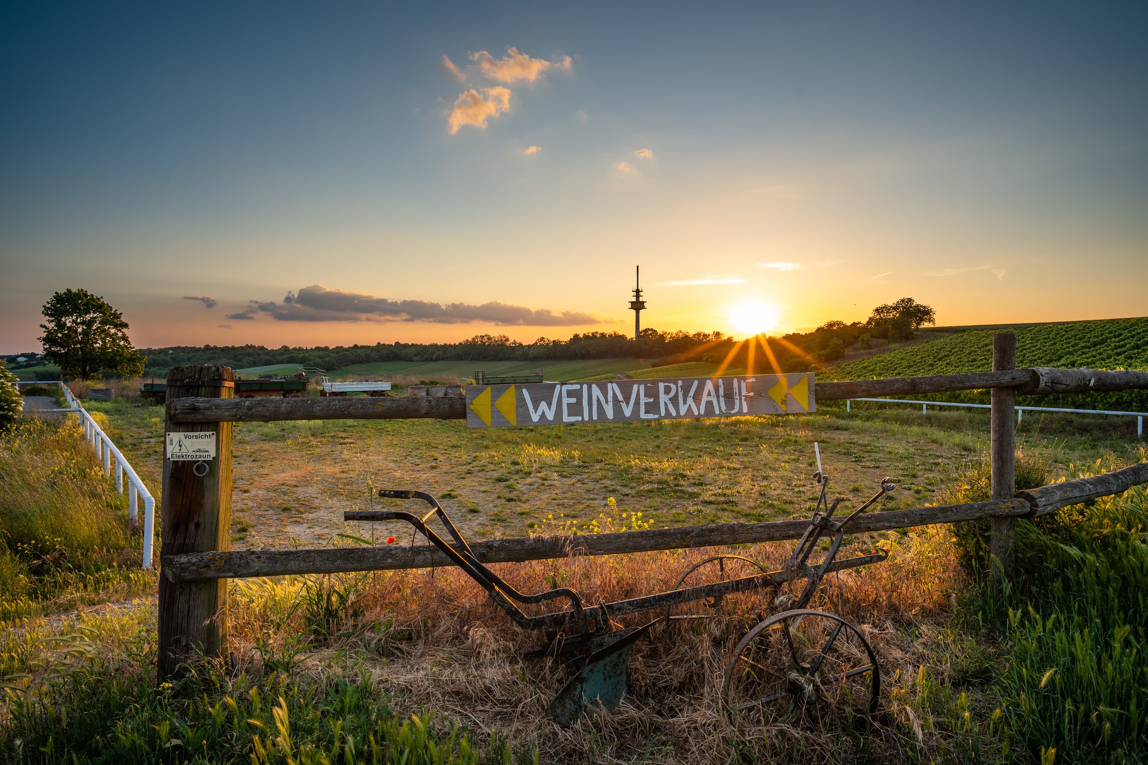 Open through Rheinhessen
